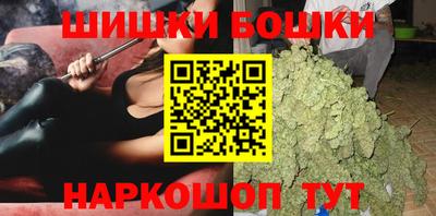 МДПВ Лесосибирск