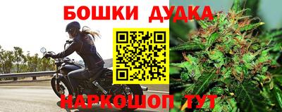 МДПВ Лесосибирск