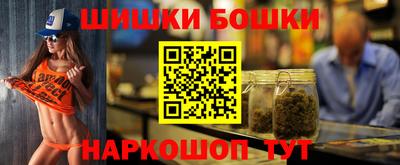 МДПВ Лесосибирск