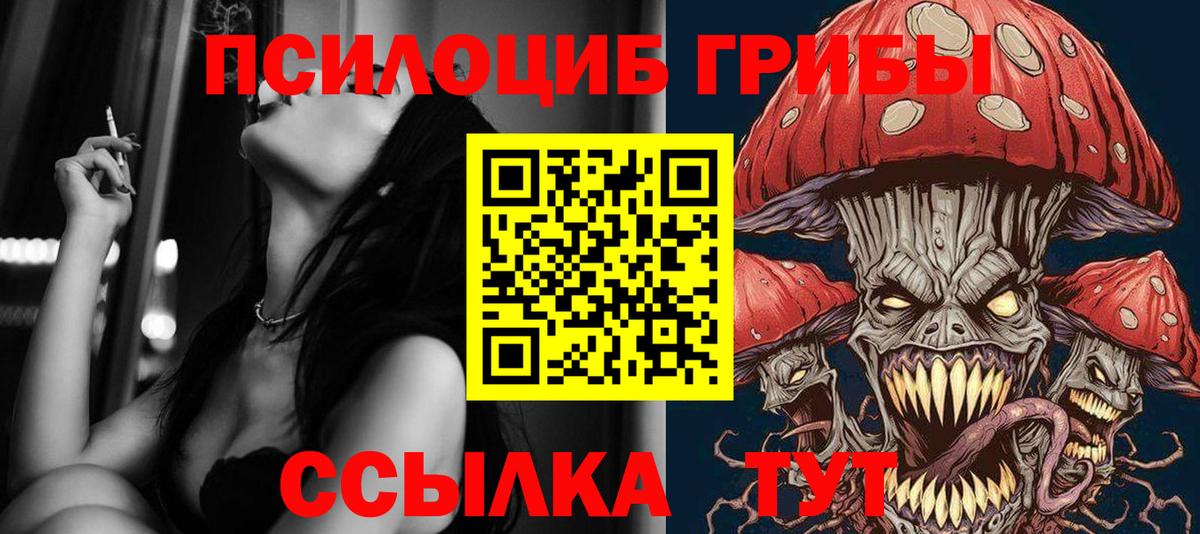 дарнет шоп  Вход с VPN  Изобильный  Псилоцибиновые грибы мицелий 